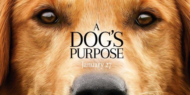 A Dog's Purpose Movie
